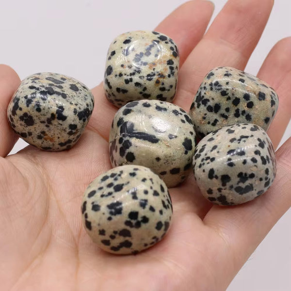 20-30mm dalmatian stone