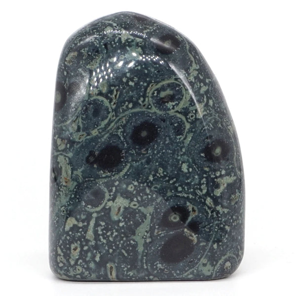 Natural Gemstone Green Kambaba Jasper Palm Stone