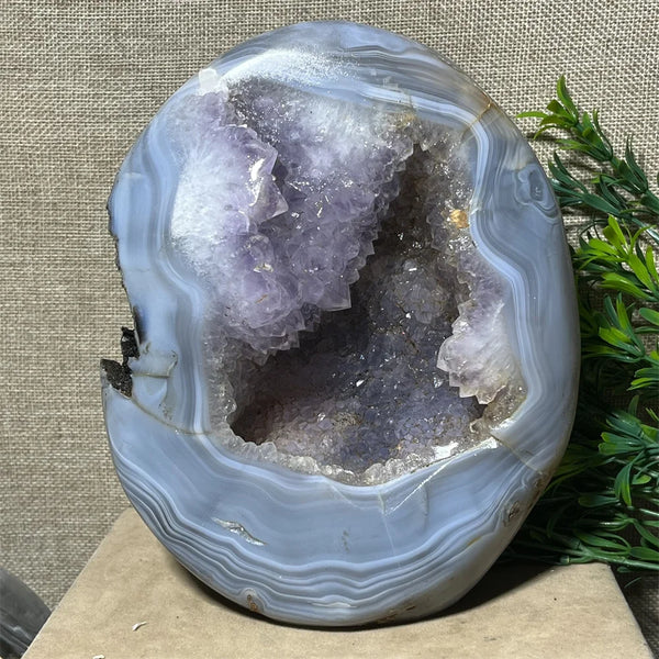 Crystal Natural Specimen Raw Geode Amethyst Quality Beauty Druzy