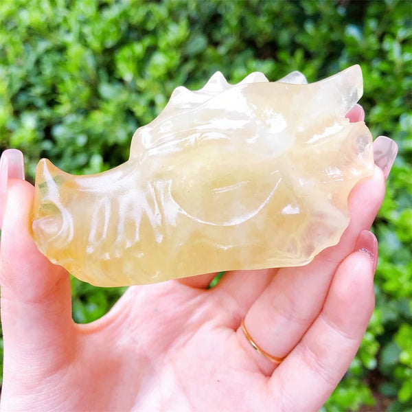 Natural Citrine Hand Carved Dragon Quartz Crystal Skull