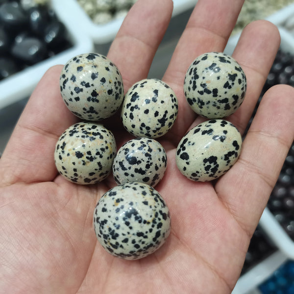 Natural Spotted Dalmatian Jasper Crystal Tumbled Bulk