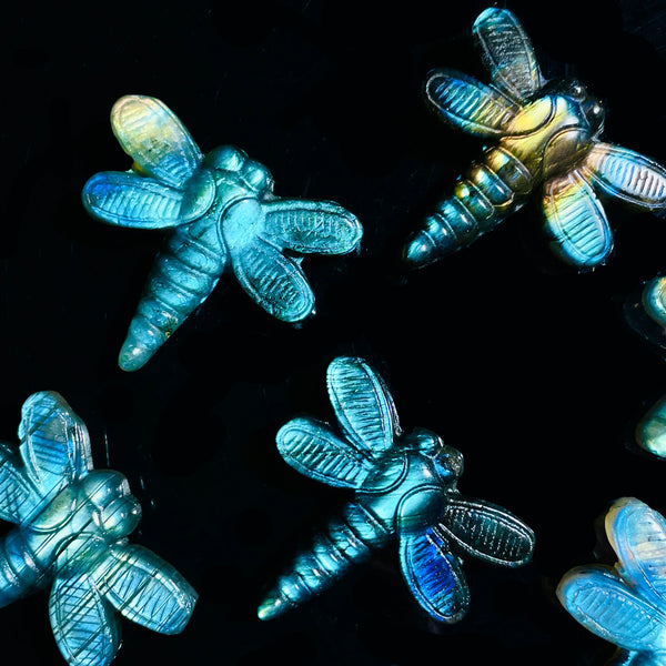 Labradorite Dragonfly Carving Wholesale Bulk