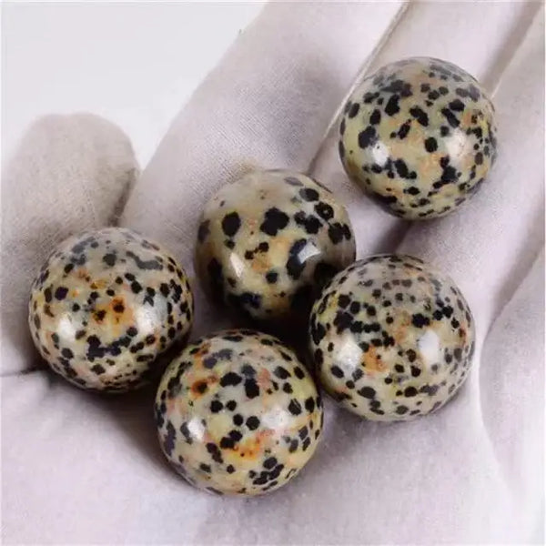 Wholesale Natural Healing Crystal Polished Dalmatian Jasper Spheres