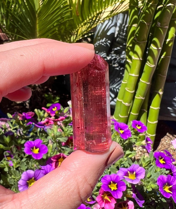 1.5” , 18g Extremely High Quality Rubelite Tourmaline with Mini Rainbow - Brazil