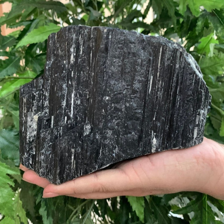 Extra Large Black Tourmaline Natural Rough Crystal Raw Cluster