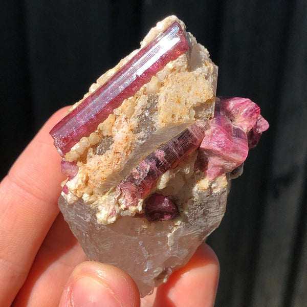 145g Rubellite Tourmaline Crystal Cluster on Quartz Matrix from Parelhas, Brazil